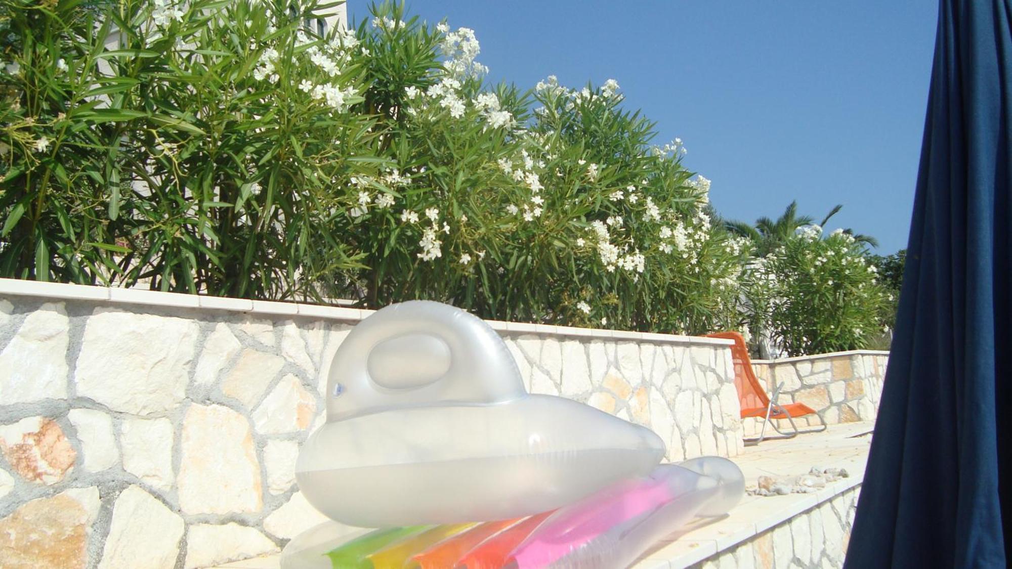 Apartments Niana With Heated Seawater Swimingpool Donji Okrug  Buitenkant foto